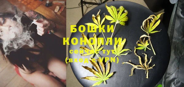 ешки Арсеньев