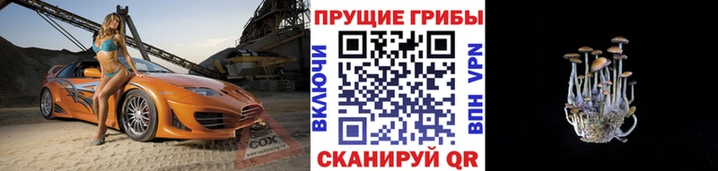 kraken ССЫЛКА  Искитим  Галлюциногенные грибы GOLDEN TEACHER 